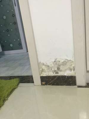 卫生间砖缝漏水原因是什么，卫生间砖缝漏水怎么办呢?