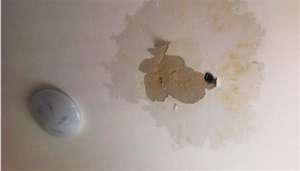 呼和浩特马桶漏水什么原因_朗逸漏水手套箱