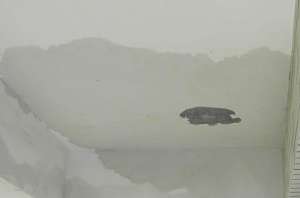 房子漏水怎么办？老师傅教你一招，滴水不漏！